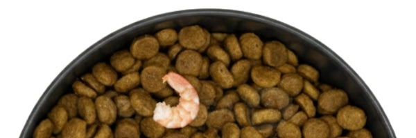 Alimento seco para gatos