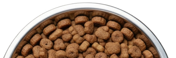 Alimento seco para perros