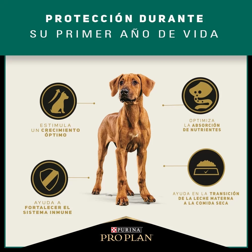 Pro Plan Puppy Razas Grandes de Pollo