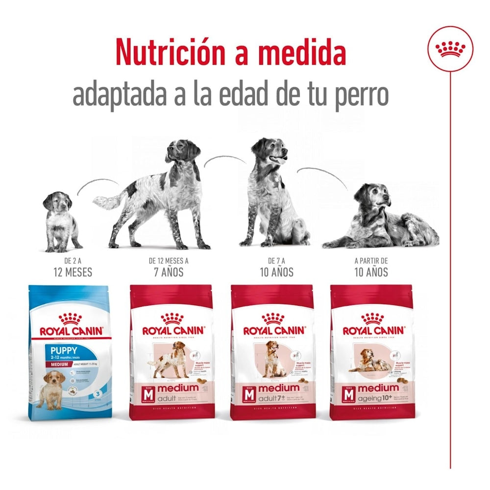 Royal Canin Medium Adult