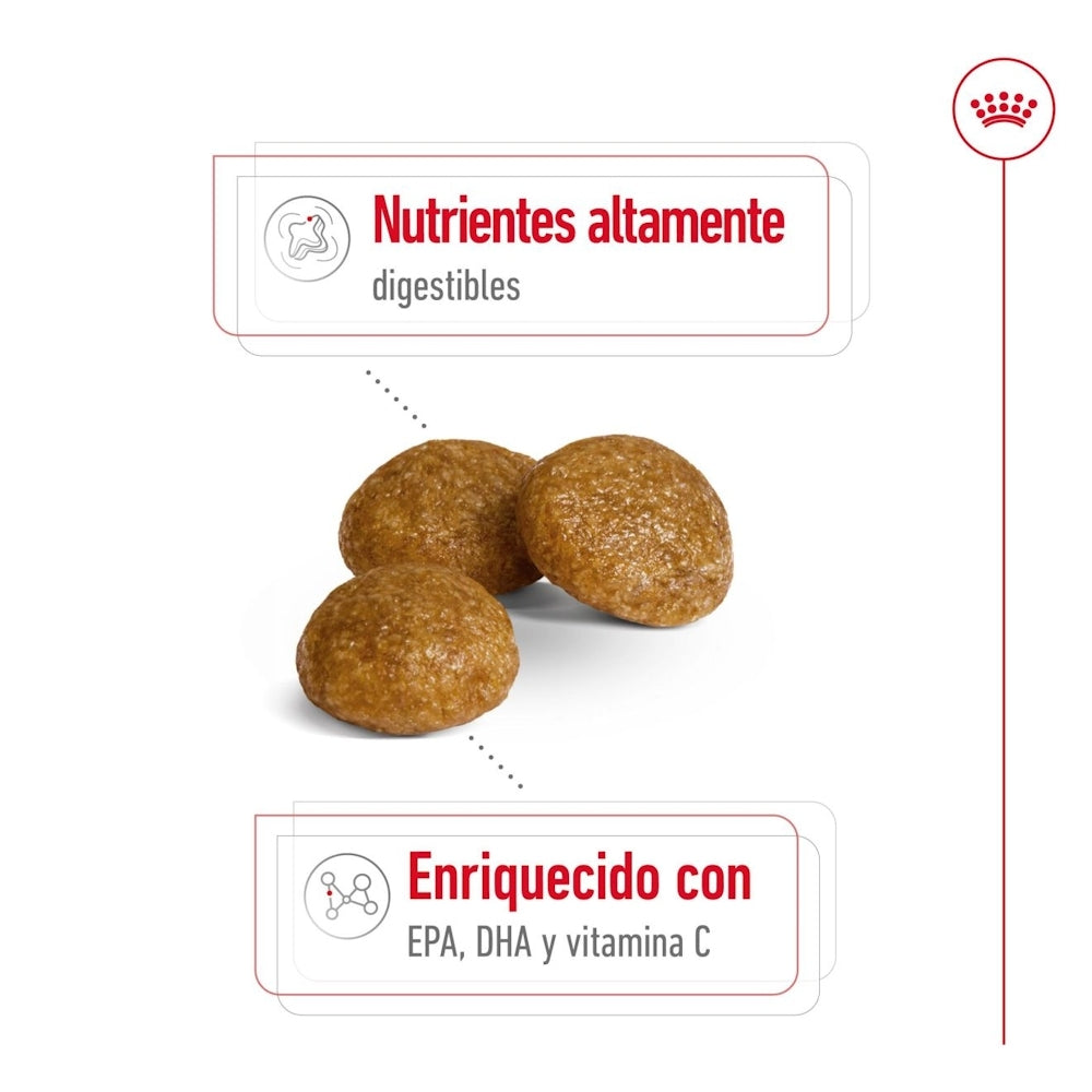 Royal Canin x-small Adult