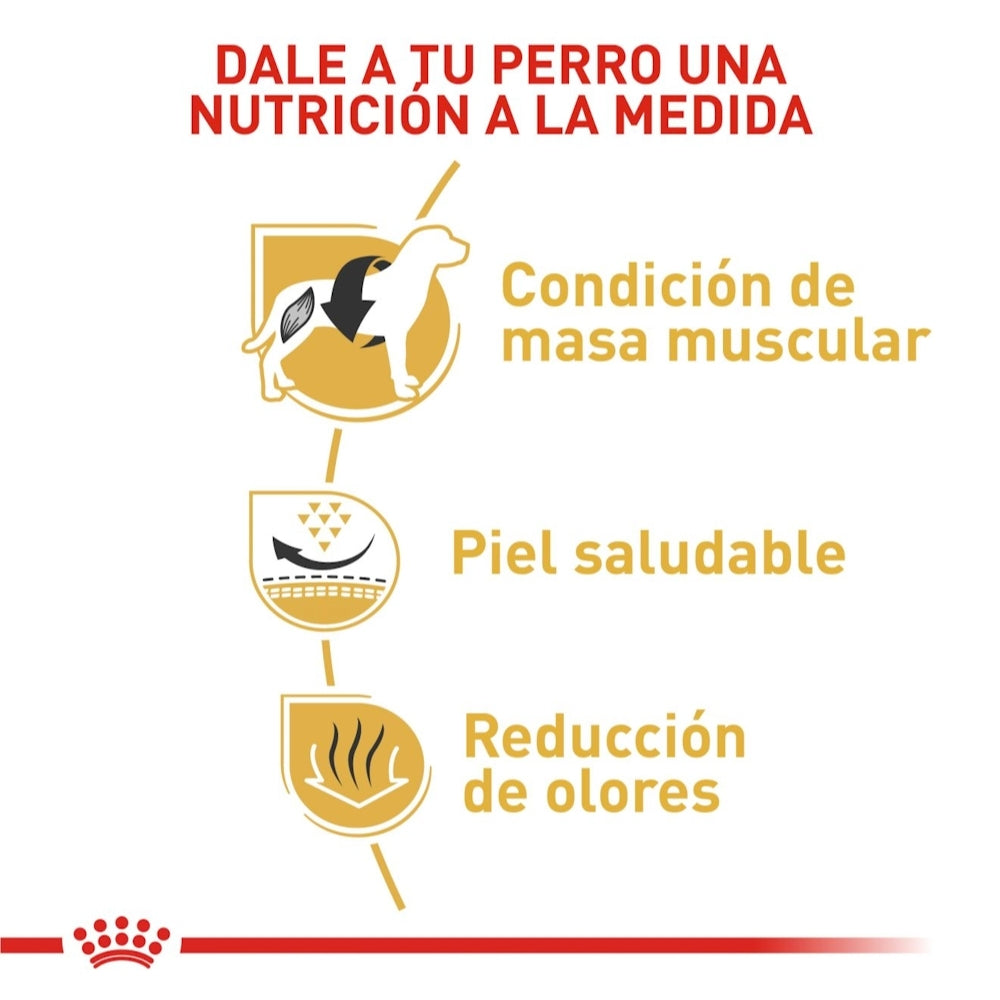 Royal Canin Adult French Bulldog