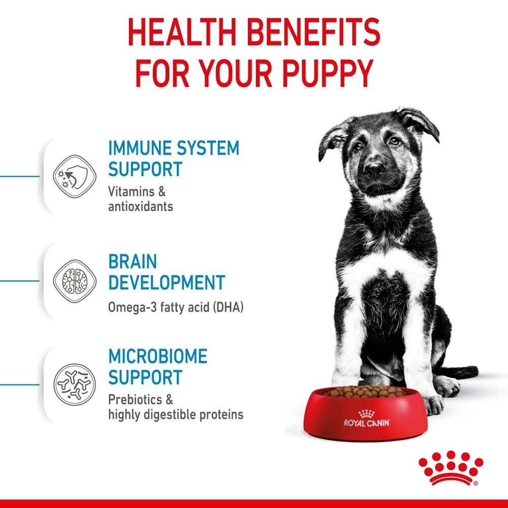 Royal Canin Puppy Maxi