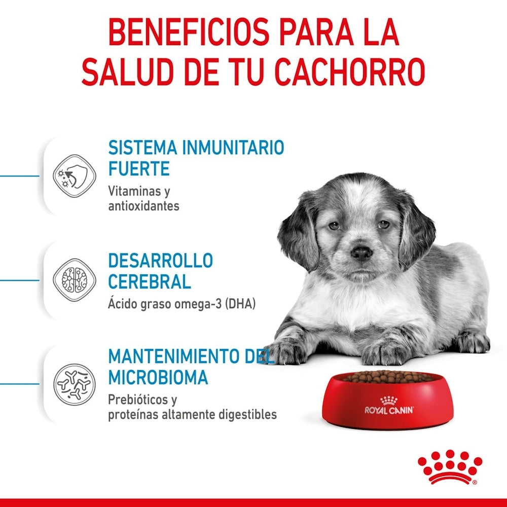 Royal Canin Puppy Medium