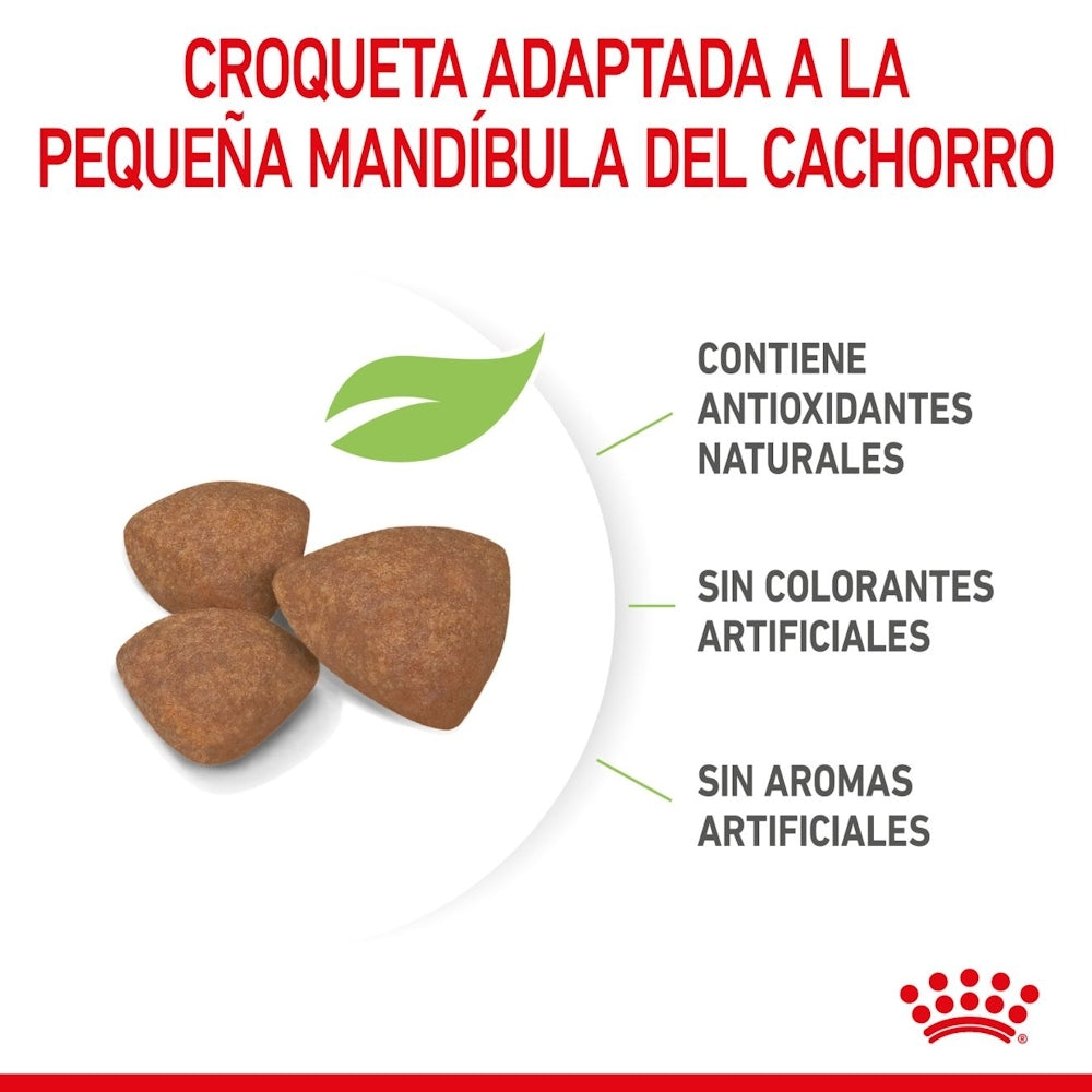 Royal Canin Puppy Mini