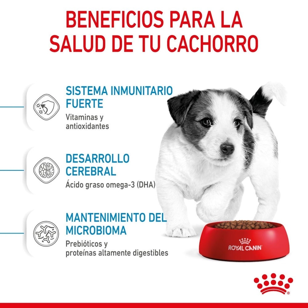 Royal Canin Puppy Mini