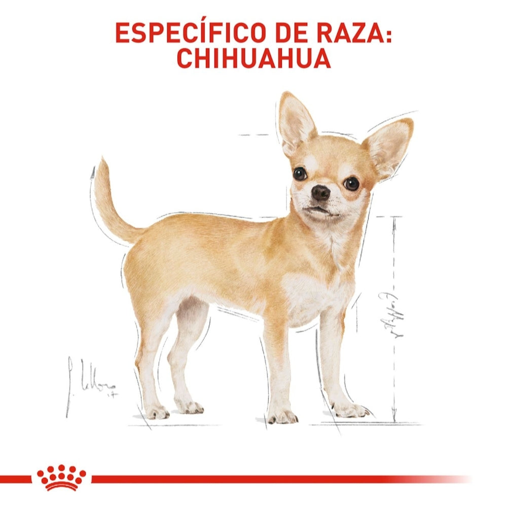 Royal Canin Adult Chihuahua