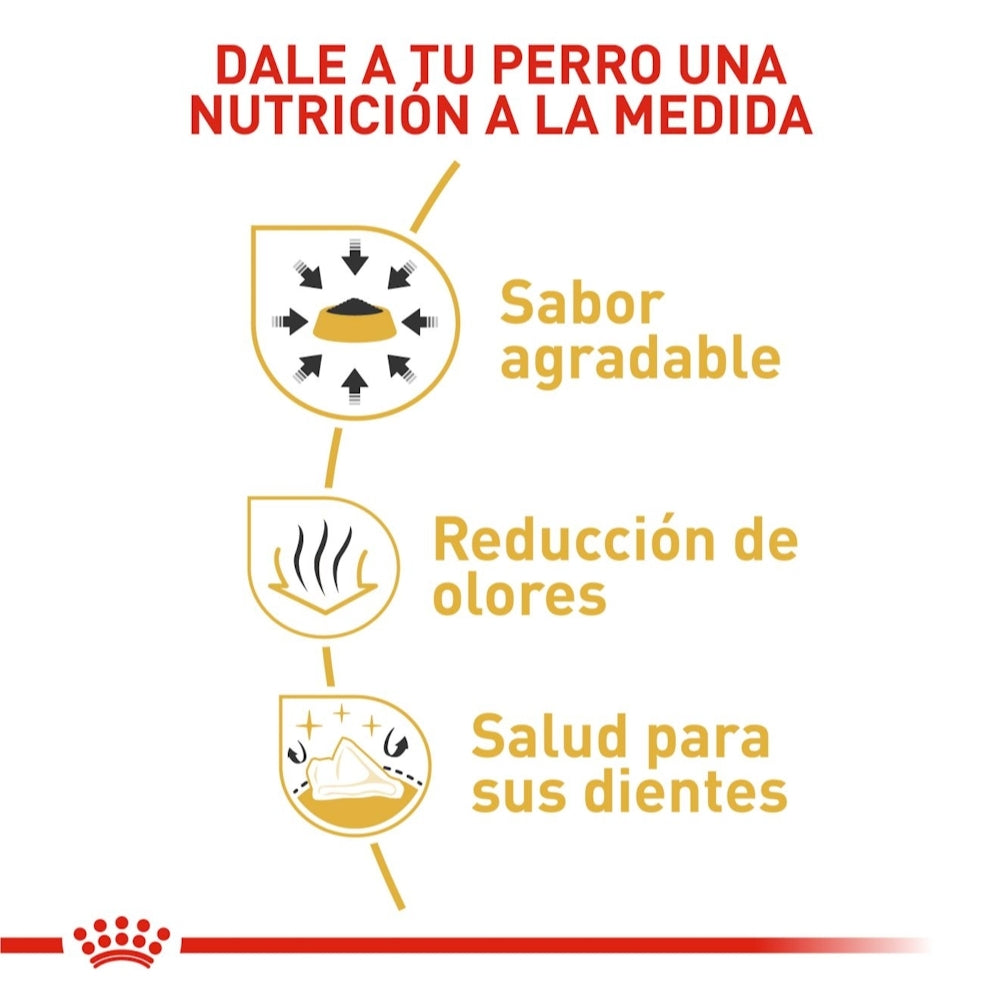 Royal Canin Adult Chihuahua