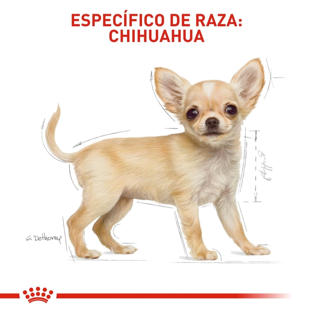 Royal Canin Puppy Chihuahua