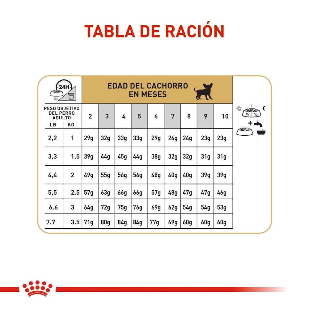 Royal Canin Puppy Chihuahua