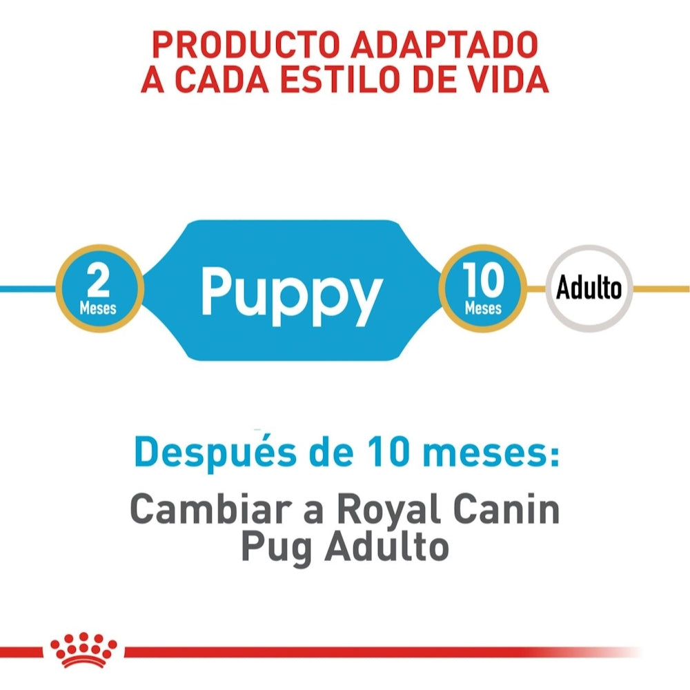 Royal Canin Puppy Pug