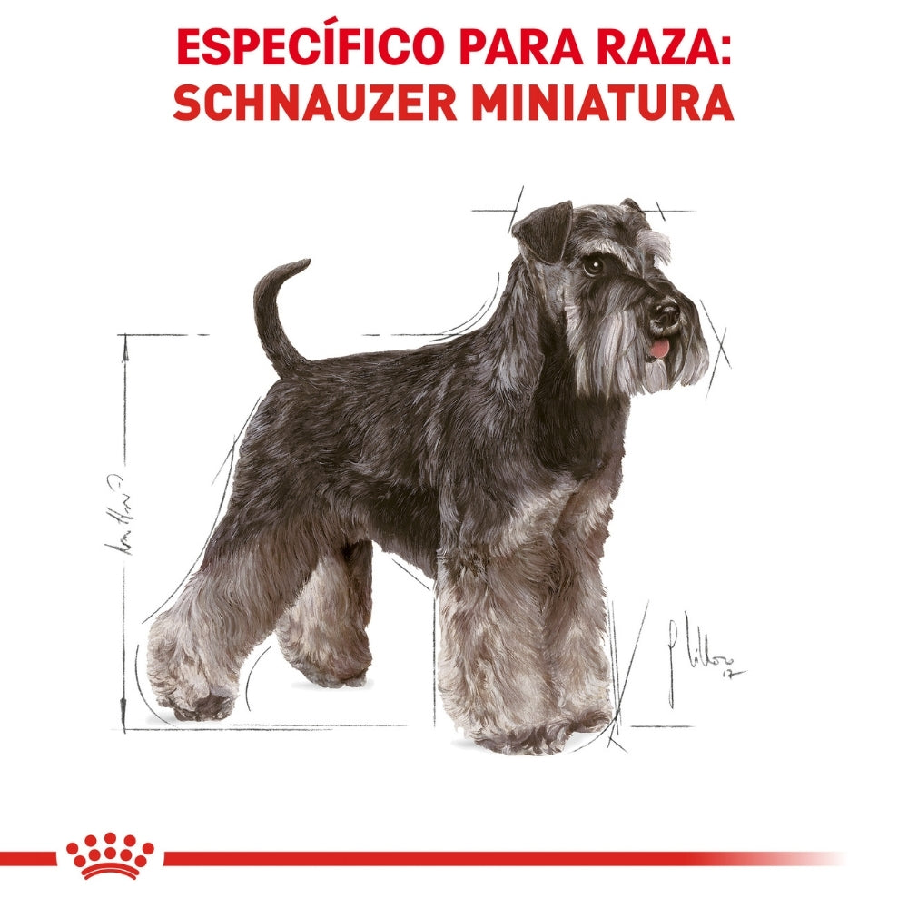 Royal Canin Adult Miniature Schnauzer