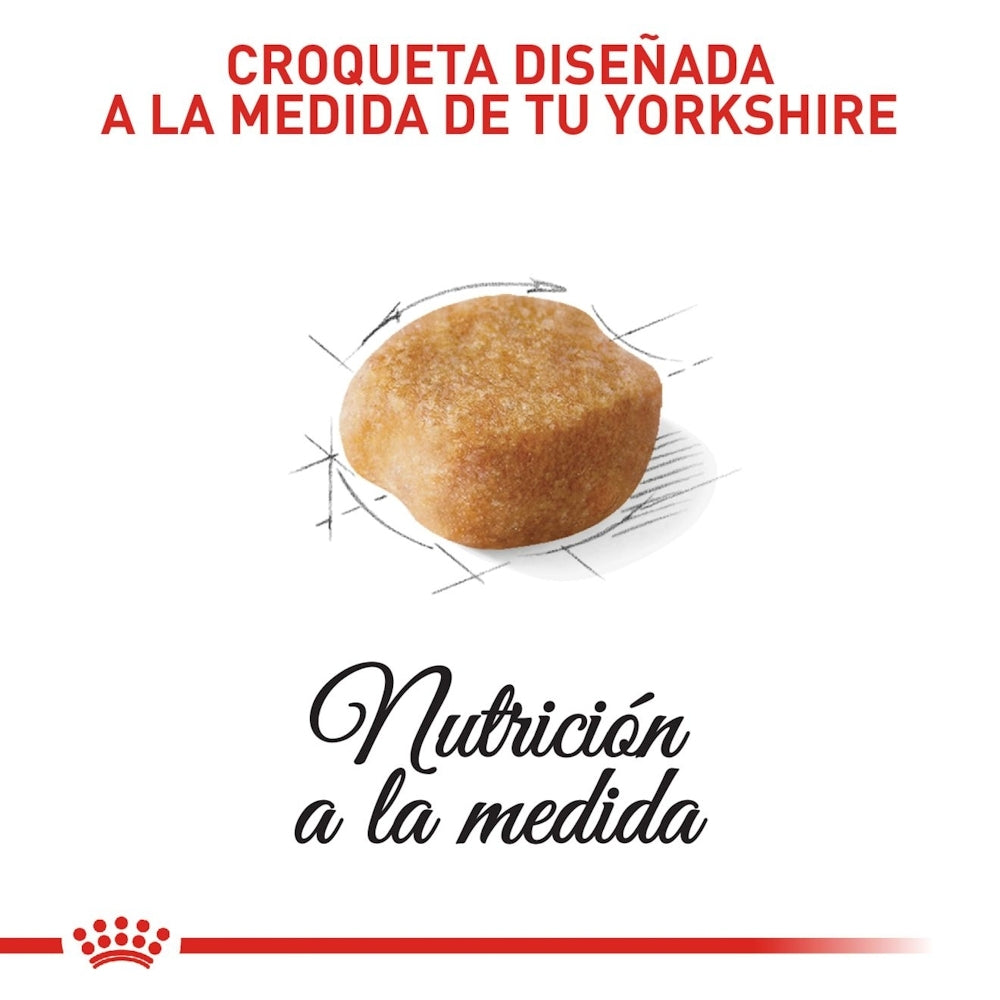 Royal Canin Adult Yorkshire Terrier