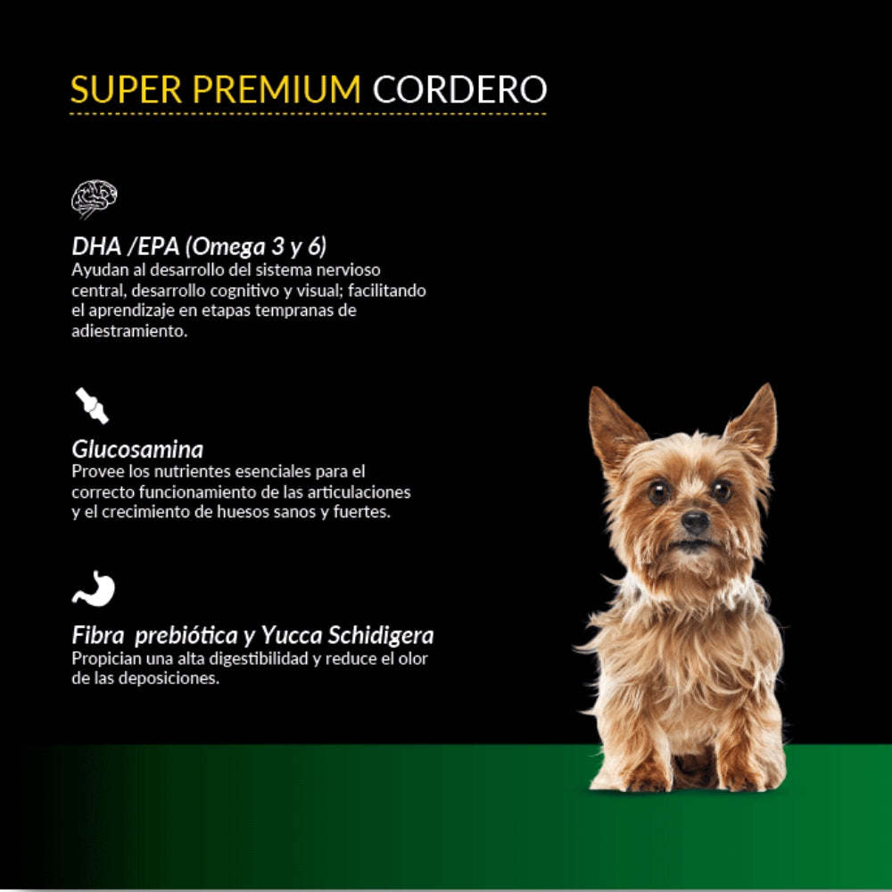 Canbo Cachorro Razas Pequeñas de Cordero
