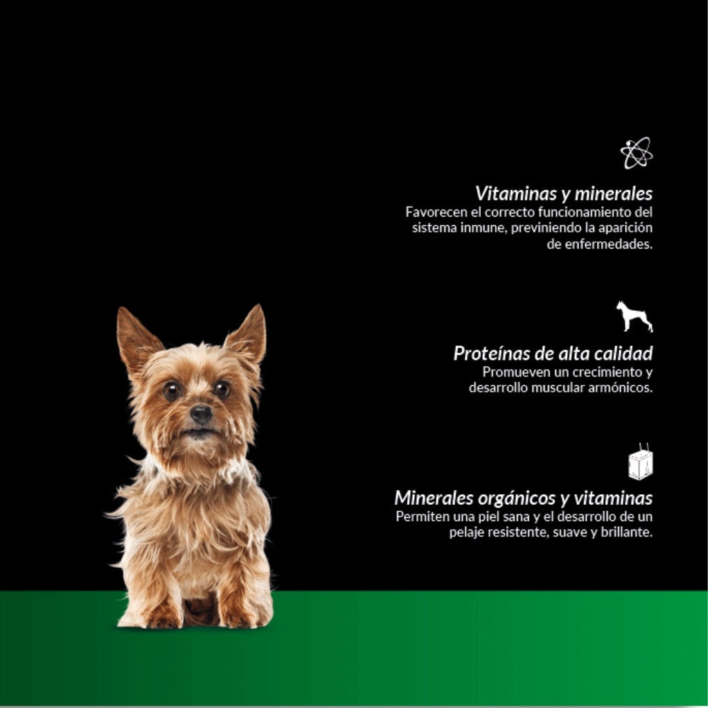Canbo Cachorro Razas Pequeñas de Cordero