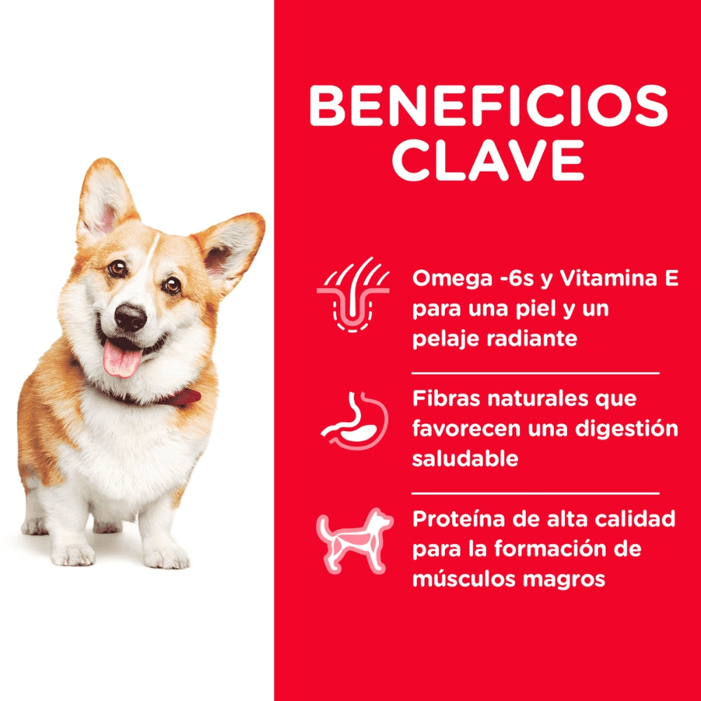 Hills SD Canine Adult 1-6 Small Bites Chicken