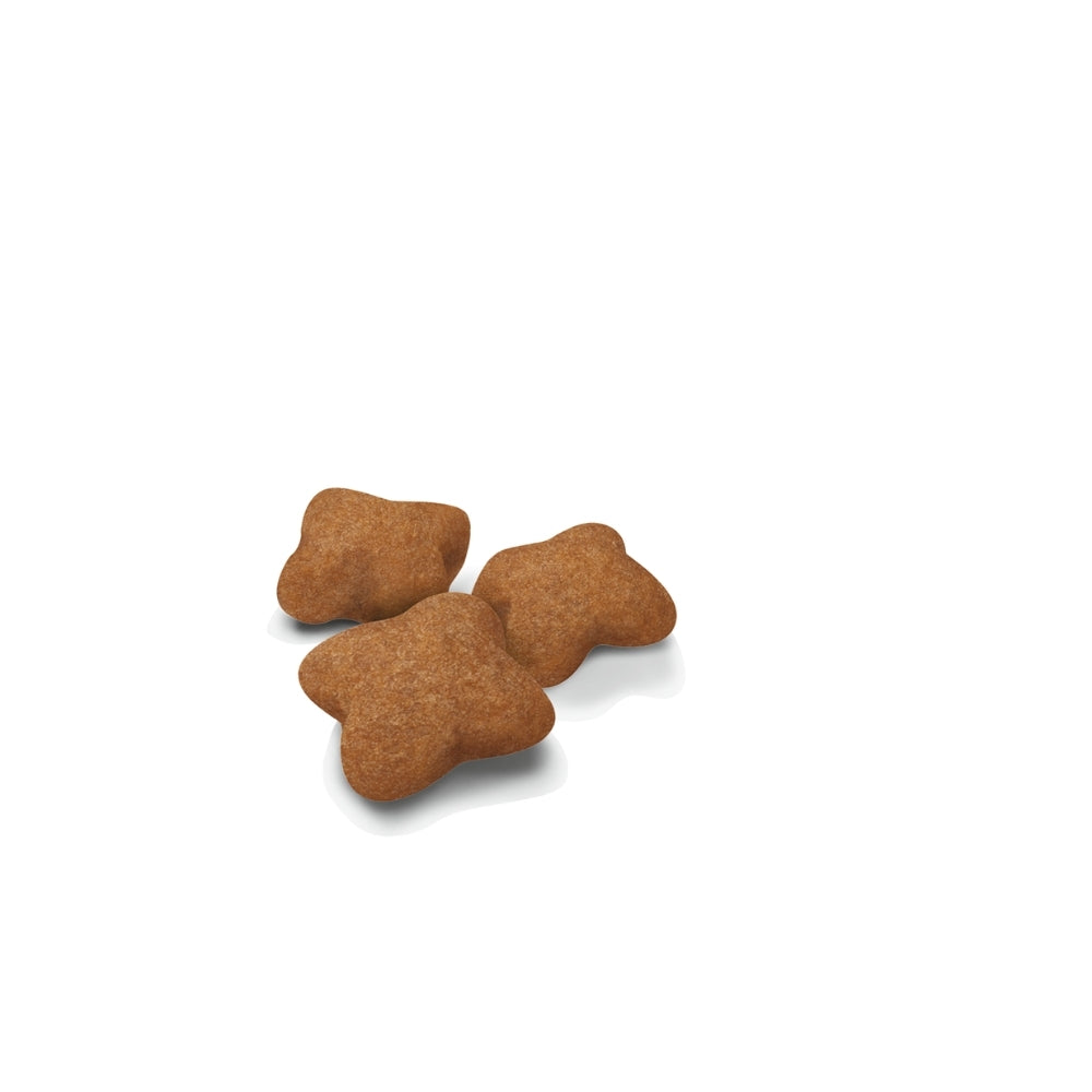 Royal Canin Kitten Sterilised