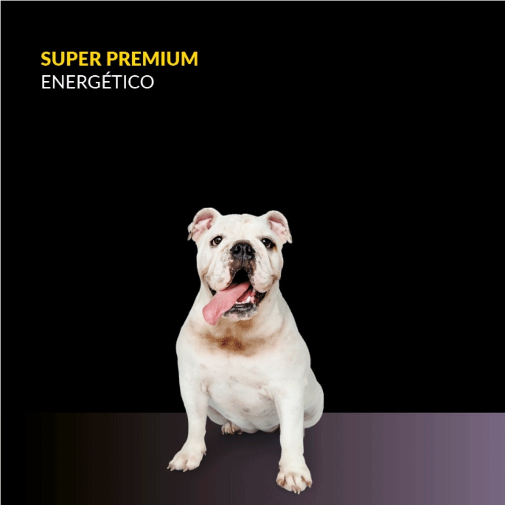 Canbo Adultos Energético