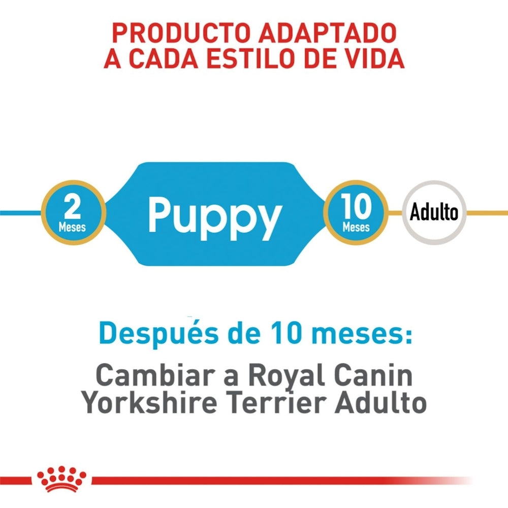 Royal Canin Puppy Yorkshire Terrier