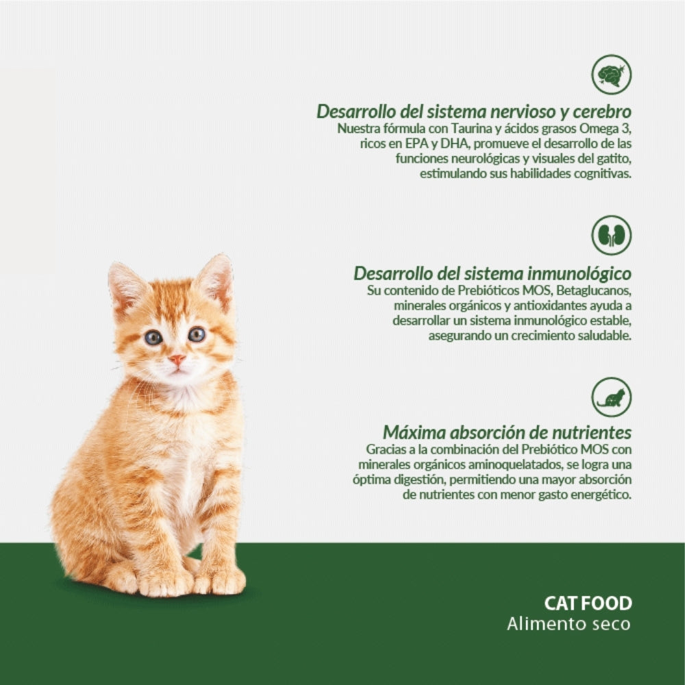 Canbo Gatitos con Pollo