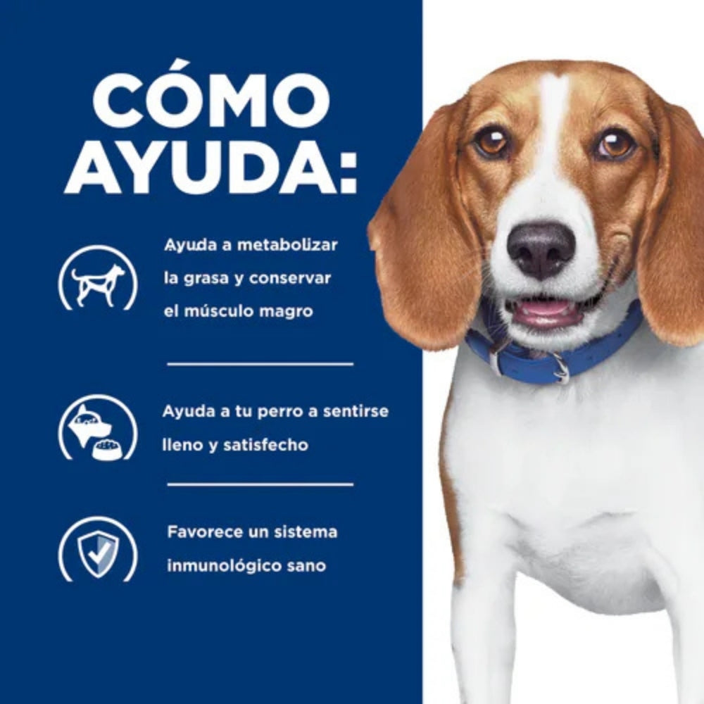 Hills PD Canine r/d Weight Loss - 2 Bolsas