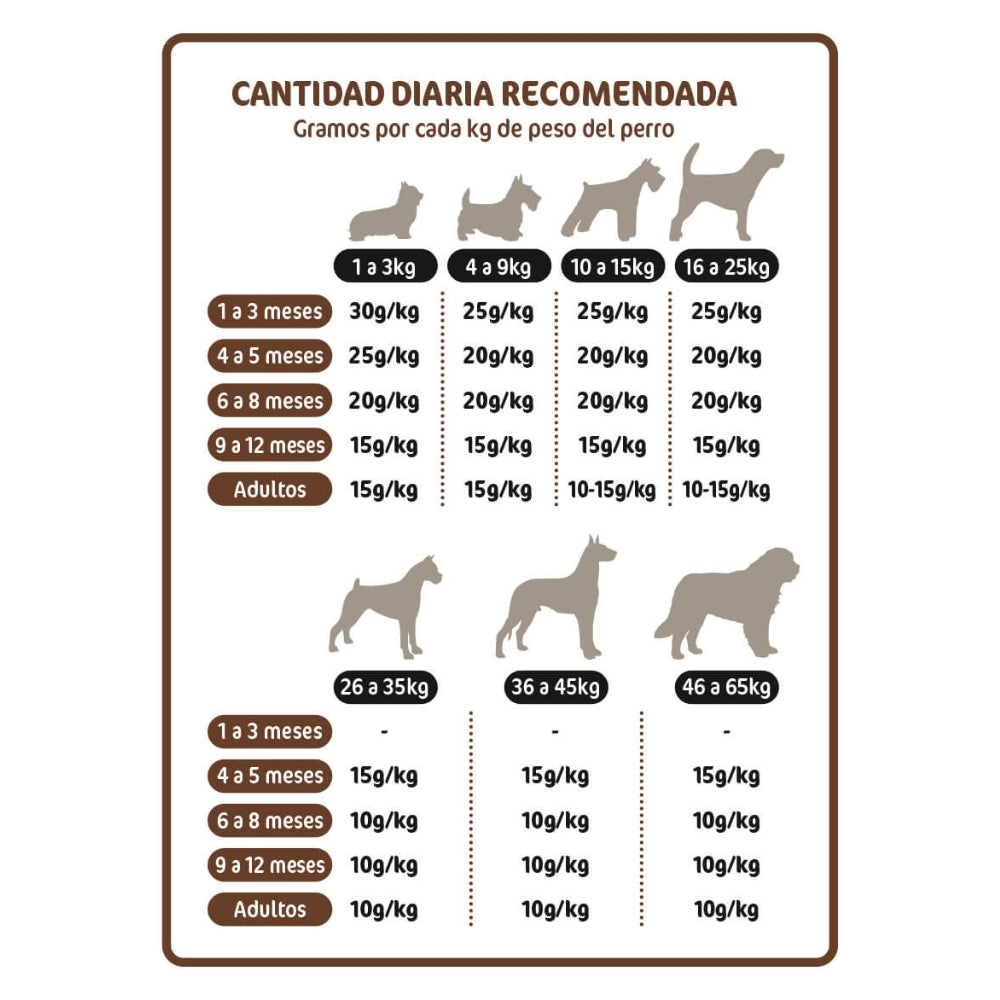 Nutram S49 Adult Dog Salmón