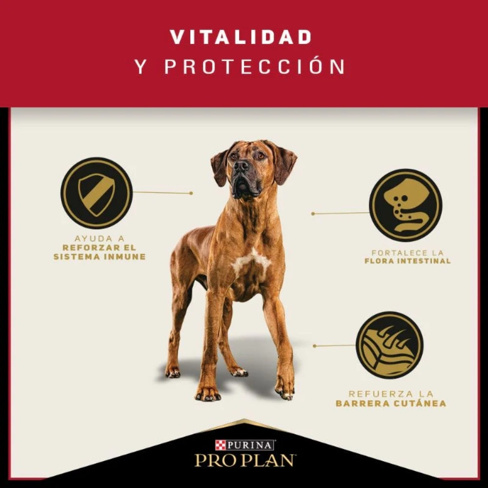 Pro Plan Adult Razas Grandes
