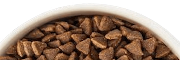 Alimento seco veterinario para gatos