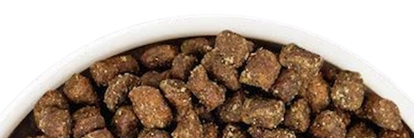 Alimento seco para perros