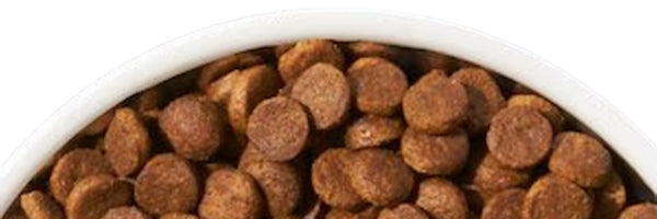 Alimento seco veterinario para perros