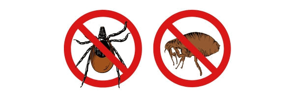 Antipulgas y antigarrapatas para perros