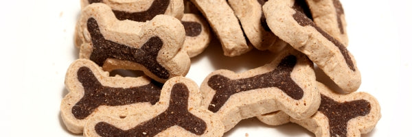 Snacks para perros