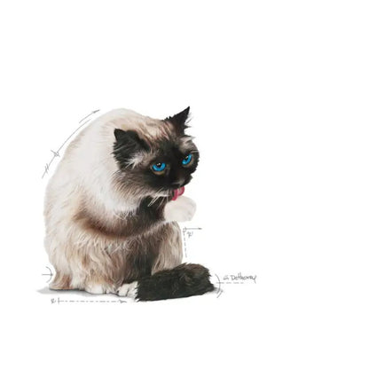 {product_title} {product_vendor} - Alimento premium para mascotas Perú