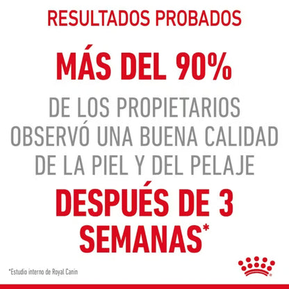 {product_title} {product_vendor} - Alimento premium para mascotas Perú