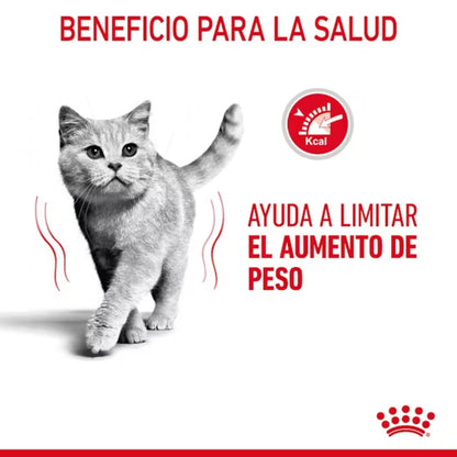 {product_title} {product_vendor} - Alimento premium para mascotas Perú