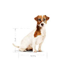 {product_title} {product_vendor} - Alimento premium para mascotas Perú