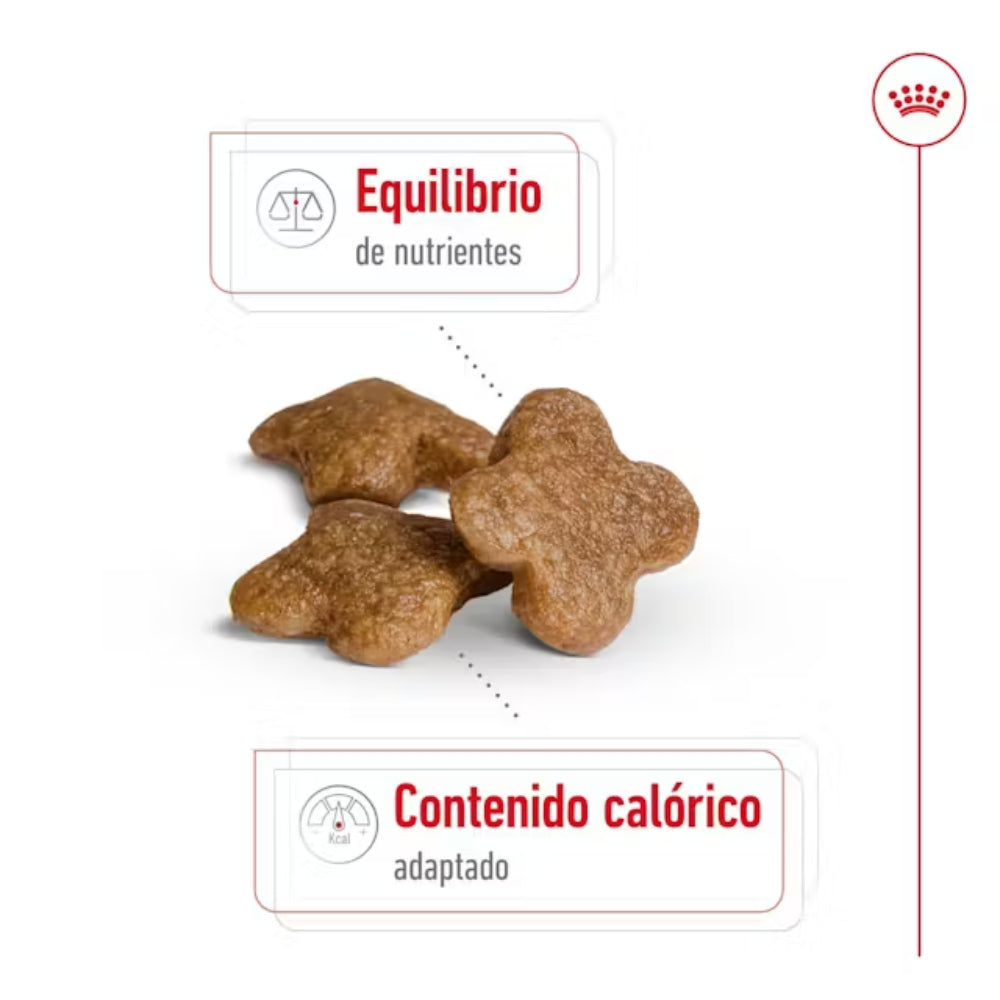 {product_title} {product_vendor} - Alimento premium para mascotas Perú