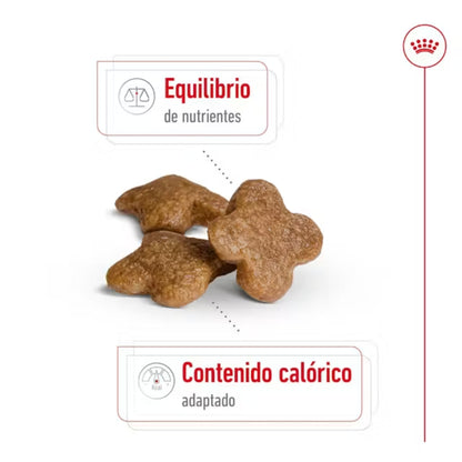 {product_title} {product_vendor} - Alimento premium para mascotas Perú