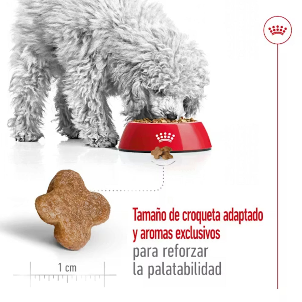 {product_title} {product_vendor} - Alimento premium para mascotas Perú