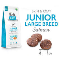Brit Care Grain Free Junior Large Breed Salmon