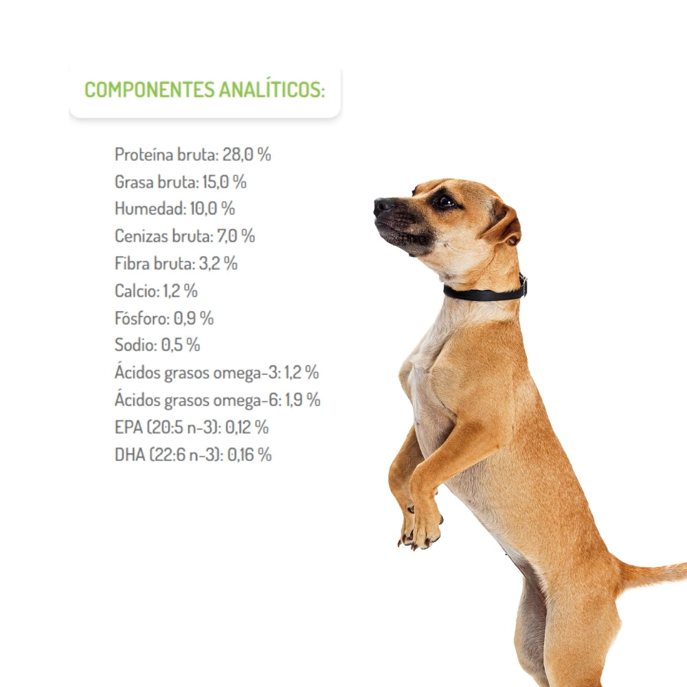 Brit Care Grain Free Junior Large Breed Salmon