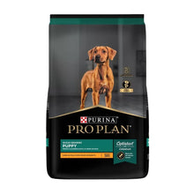 Pro Plan Puppy Razas Grandes de Pollo
