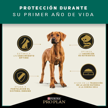 Pro Plan Puppy Razas Grandes de Pollo