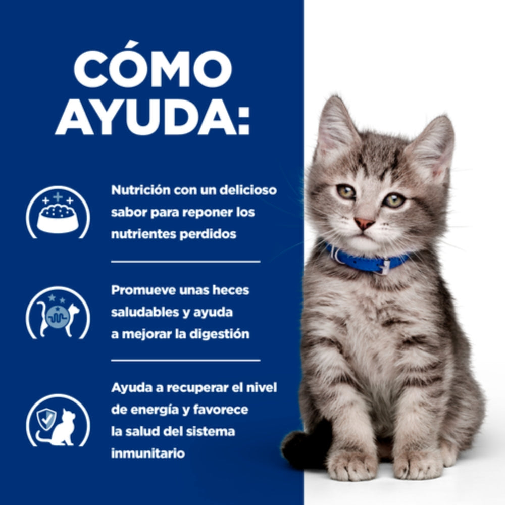 Hills PD Feline Kitten i/d Digestive Care