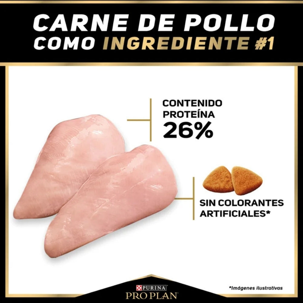 Pro Plan Adult Razas Medianas de Pollo