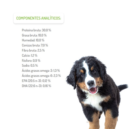 Brit Care Grain Free Puppy Salmon