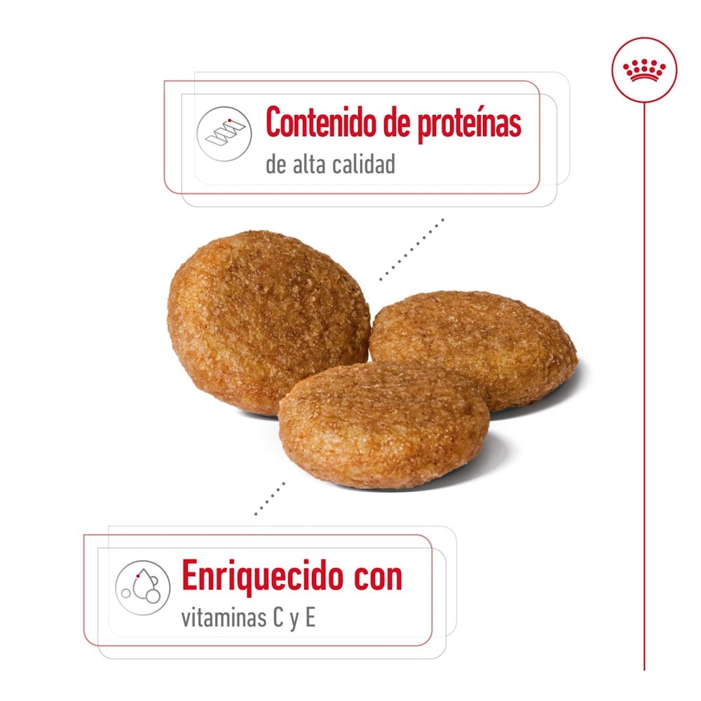 Royal Canin Medium Adult