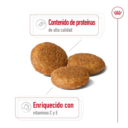 Royal Canin Medium Adult