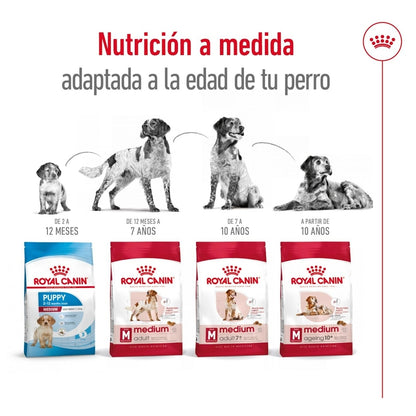 Royal Canin Medium Adult