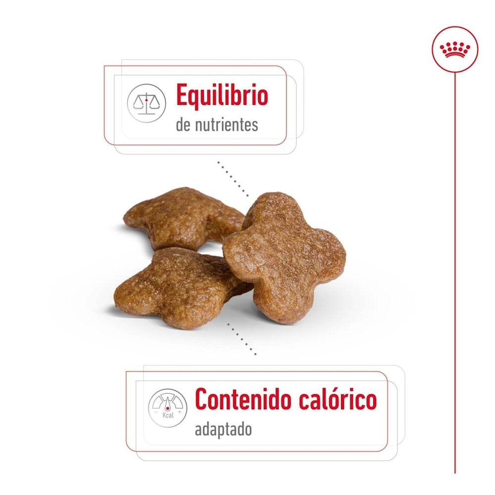Royal Canin Mini Adult